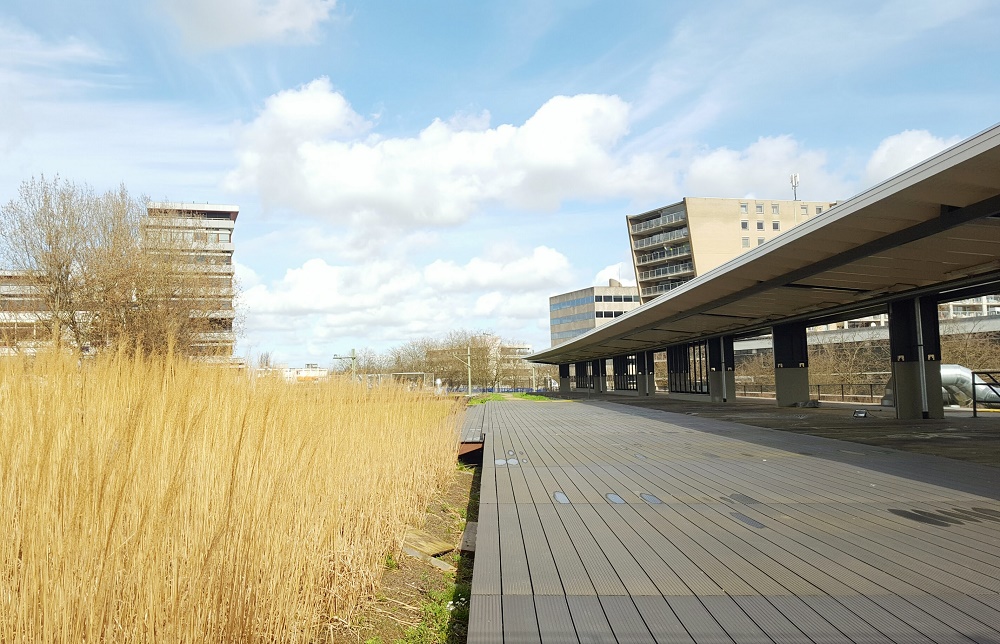 Hofbogen Rotterdam: nieuwkomers en dakdromen