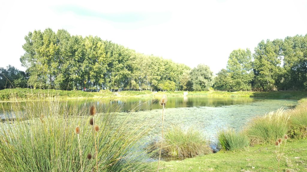 Talks & Treasures - Eiland Brienenoord - groene oase in Rotterdam