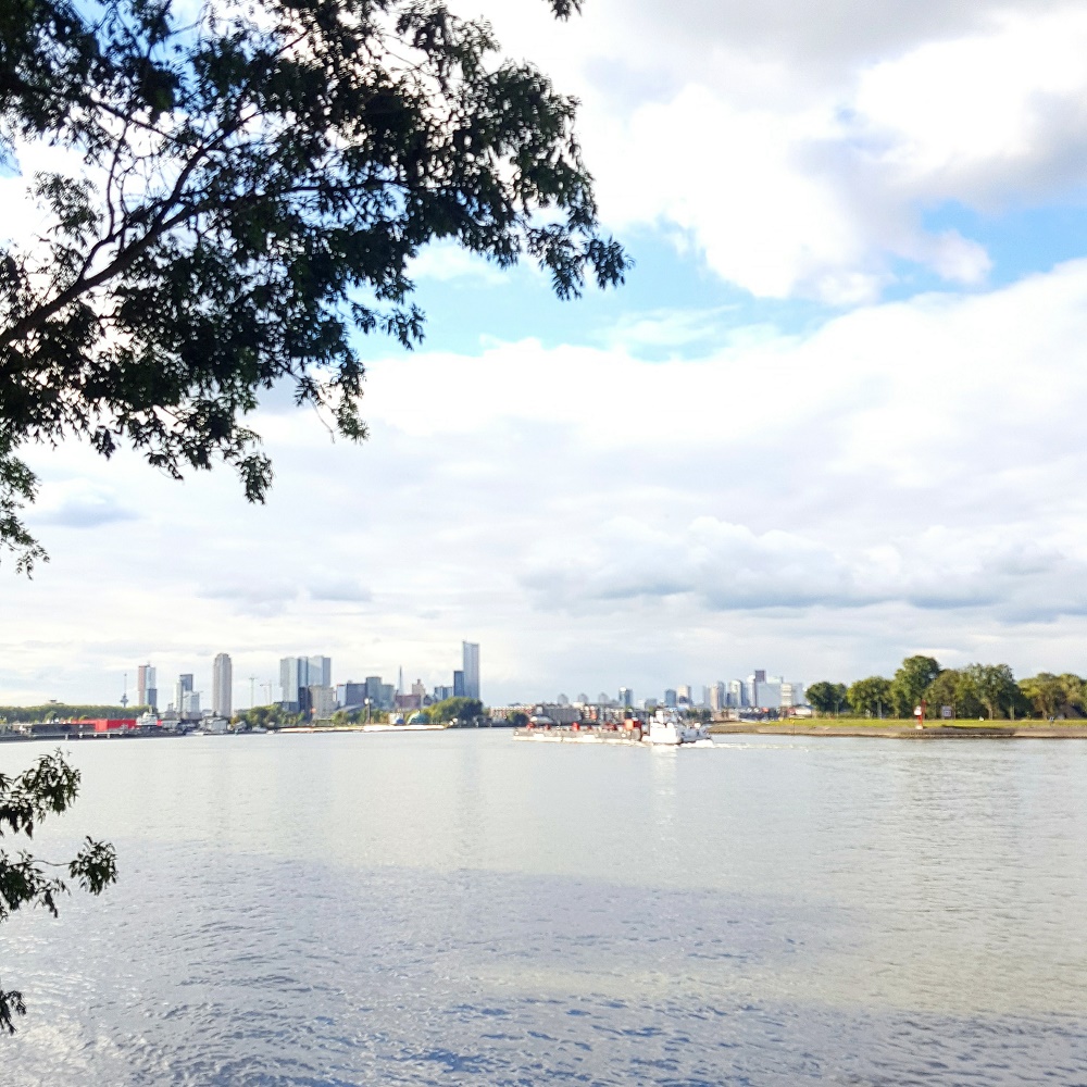 Talks & Treasures - Eiland Brienenoord - groene oase in Rotterdam