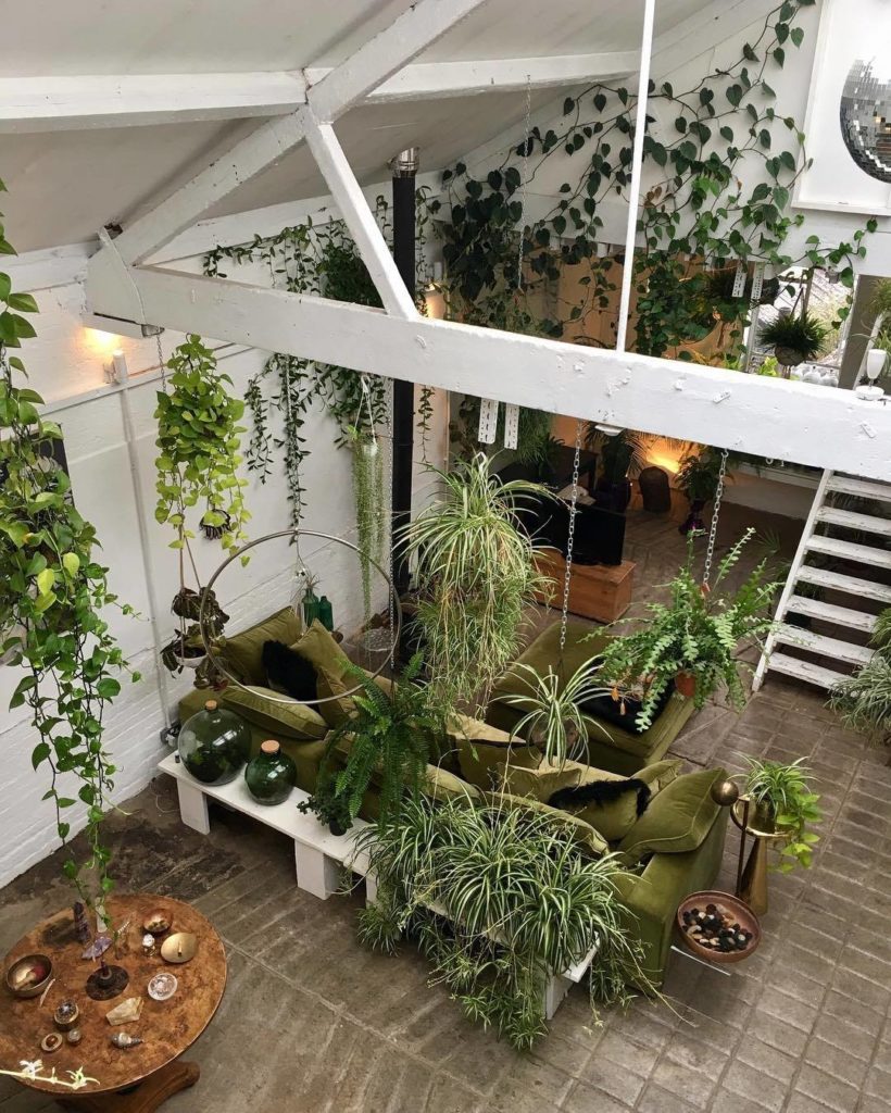 Levend groen & planten styling