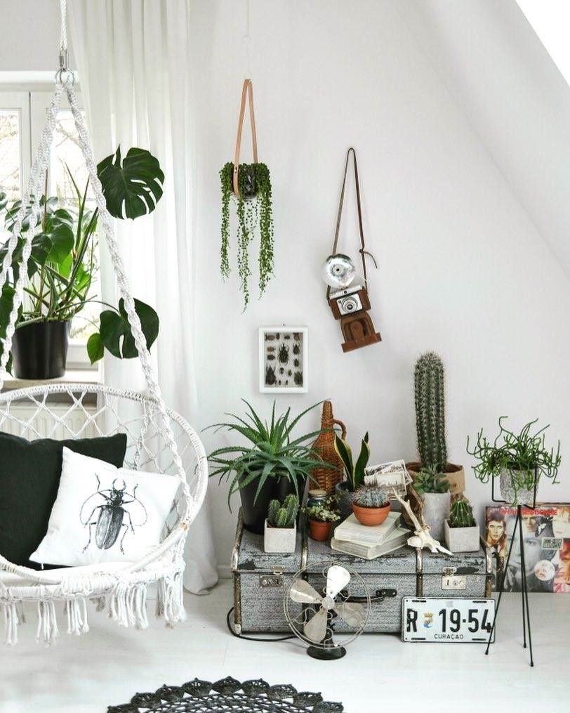 Talks & Treasures- Leven groen & planten styling