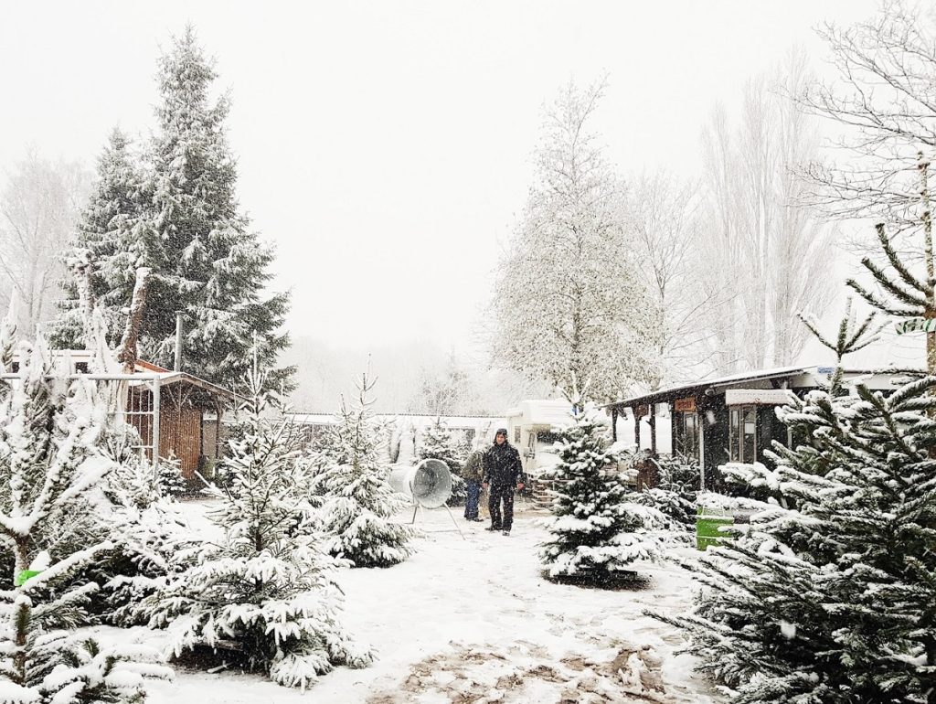 alks & Treasures - winterwonderland tips Rotterdam en weekendlinkjes