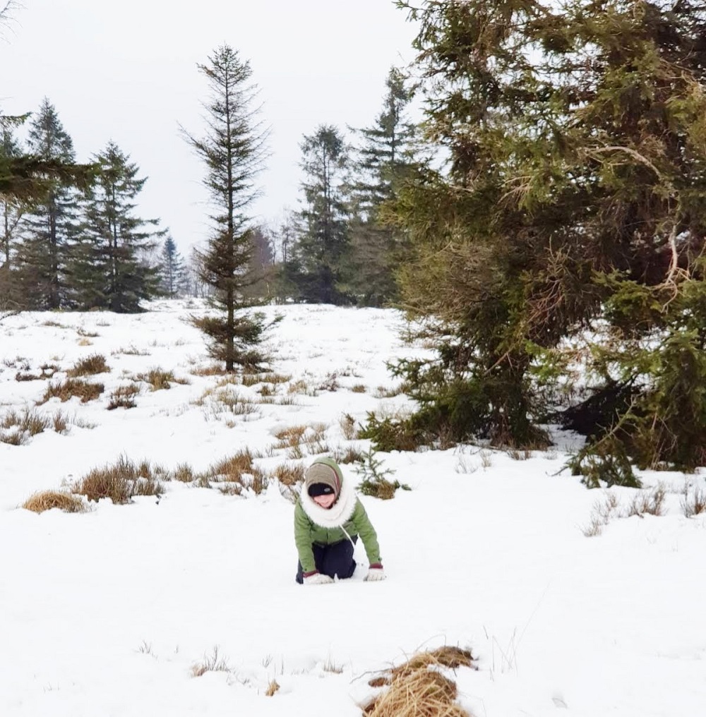 Talks & Treasures - goed (en slecht) nieuws uit Haute Fagnes