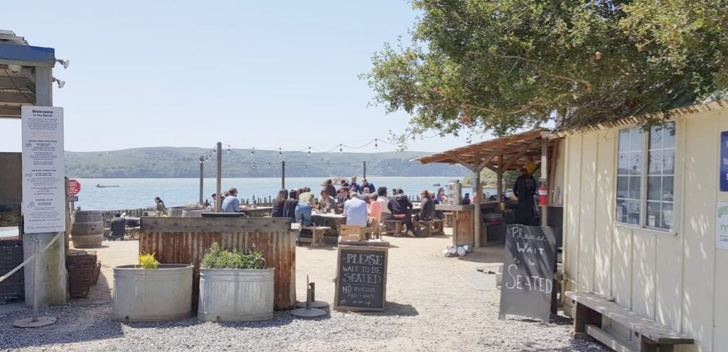 Tomales Bay: oesters voor lunch bij The Boat Oyster Bar.