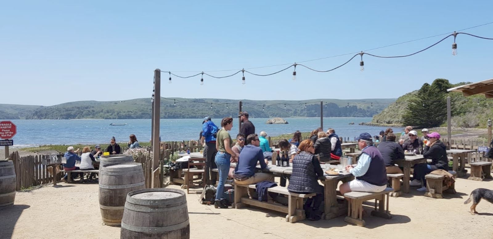 Tomales Bay: oesters voor lunch bij The Boat Oyster Bar.