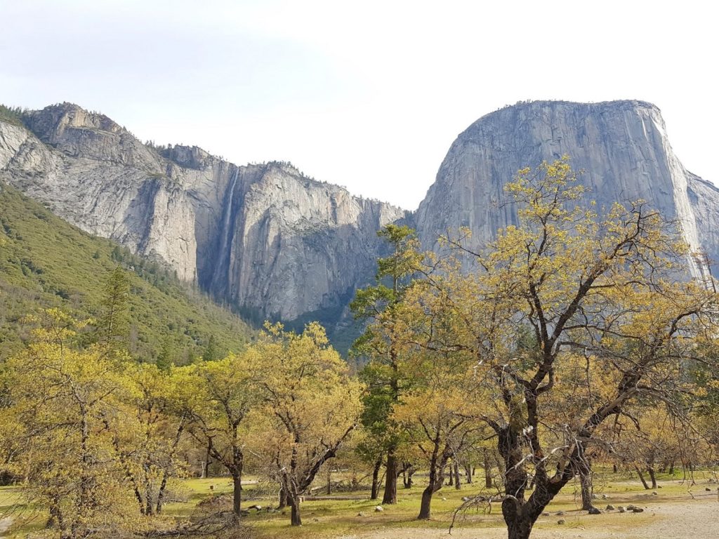 Talks & Treasure - 1 dag in Yosemite Valley