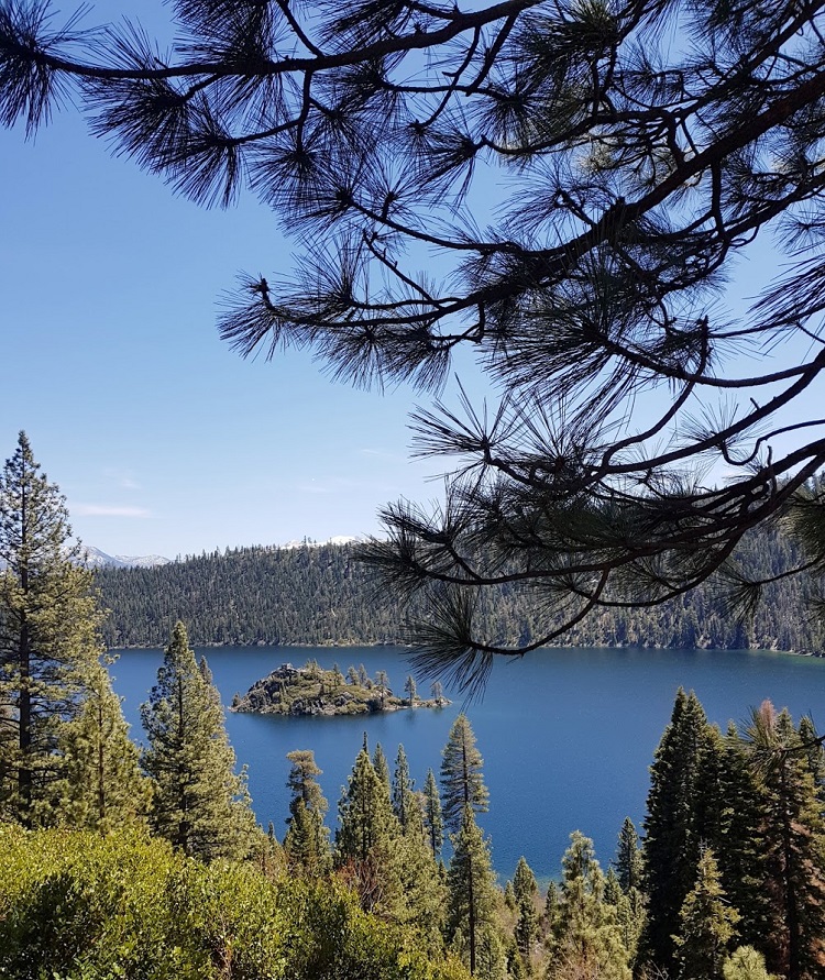 Talks & Treasure - Lake Tahoe - groen aan het water